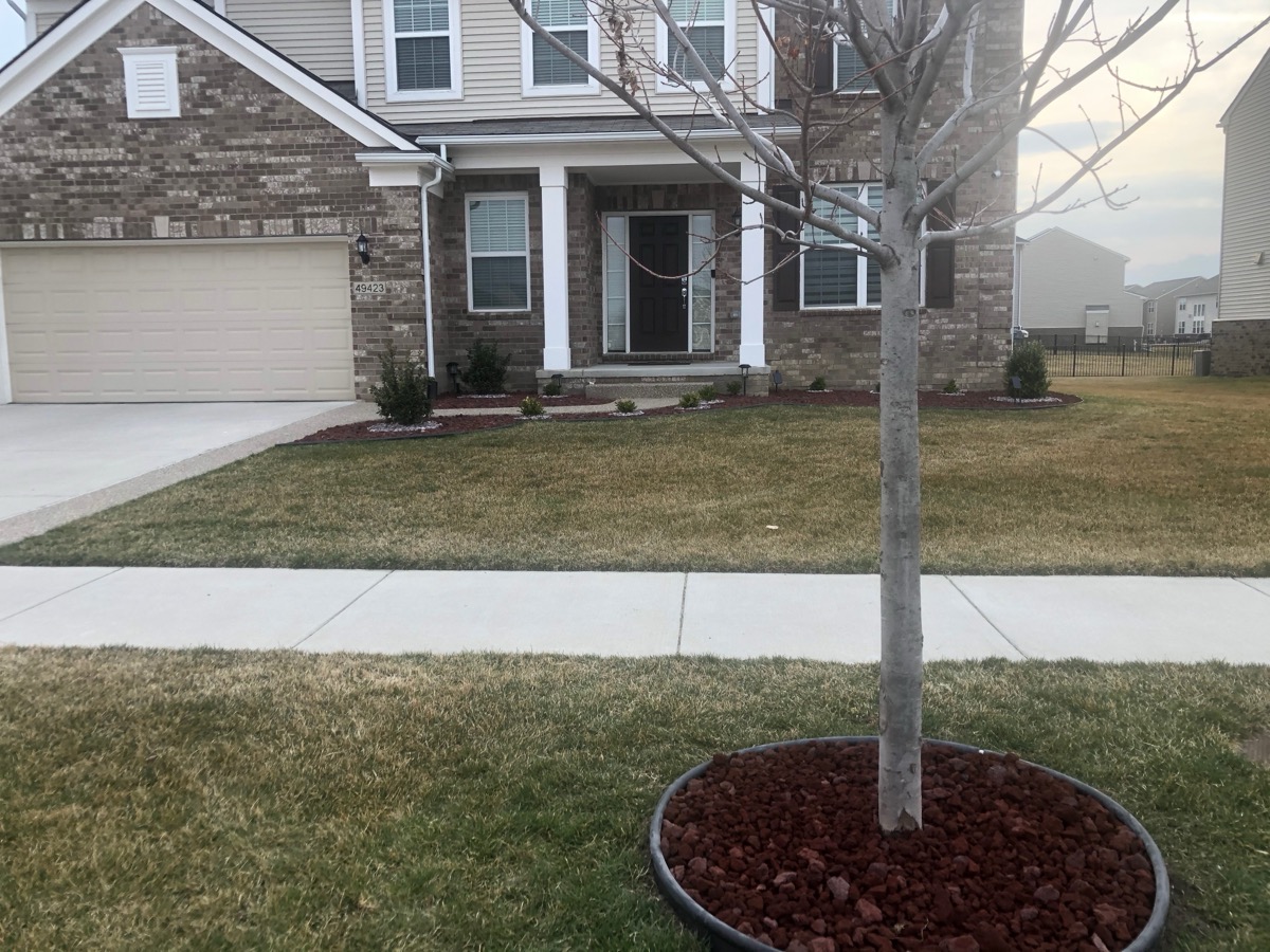 Porch Planting & Mulch Border