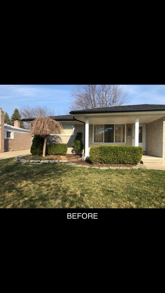 Side Yard Cleanup & Grading