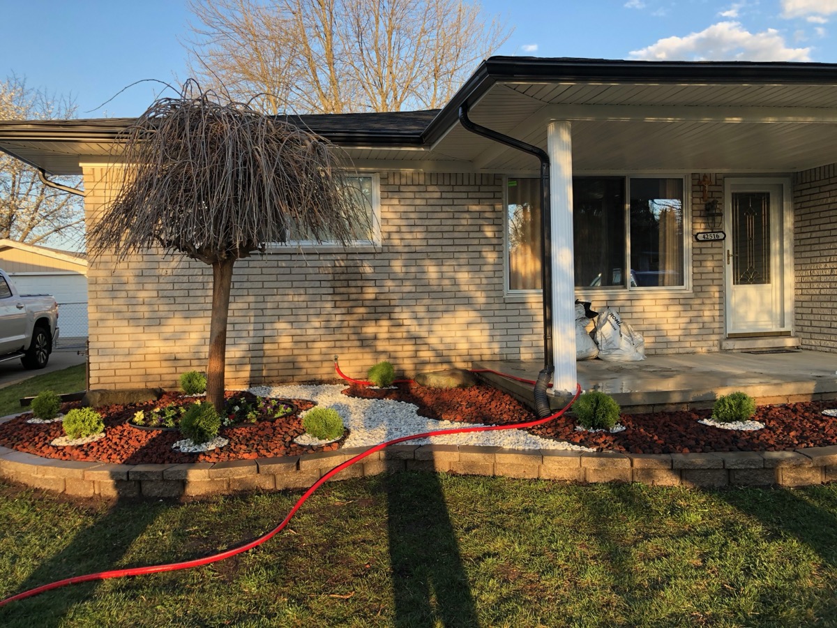 Shrub Row & Mulch Bed