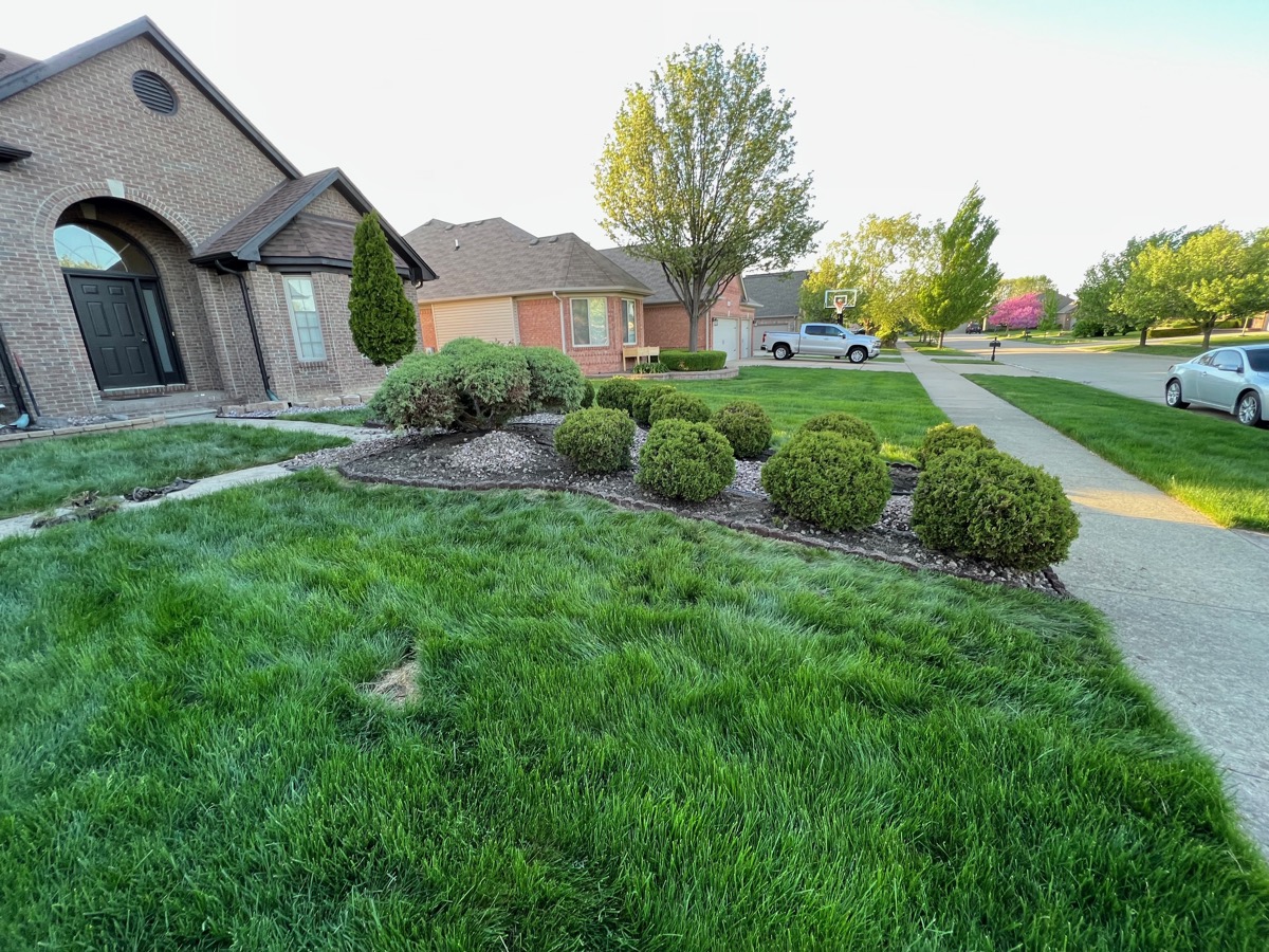 Front Walkway Landscaping